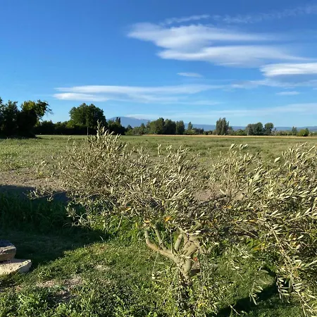 Holiday home Location Campagne En Provence - Vaucluse