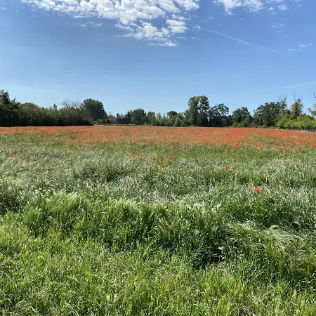 Location Campagne En Provence - Vaucluse Holiday home Pernes-les-Fontaines